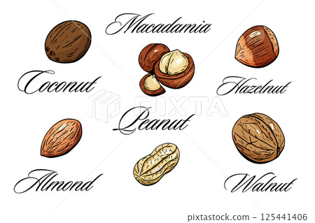 Different types of nuts with names and elegant font labels 125441406