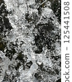 River surface 125441508