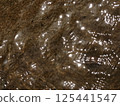 Water surface 125441547
