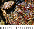 Spring water 125441551