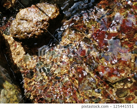 Spring water Spring water 125441551