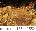 Spring water 125441552