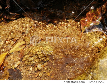 Spring water 125441552