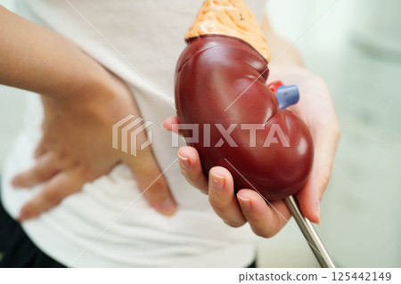 Chronic kidney disease, Asian woman with model for treatment urinary system, urology, Estimated glomerular filtration rate eGFR. 125442149