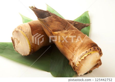 未加工的竹筍 125442752