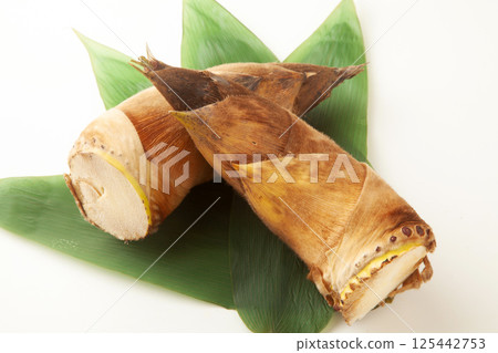 Raw bamboo shoots Raw bamboo shoots 125442753