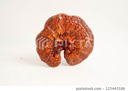 Lingzhi or Reishi mushroom with capsules, organic natural healthy food. 125443586