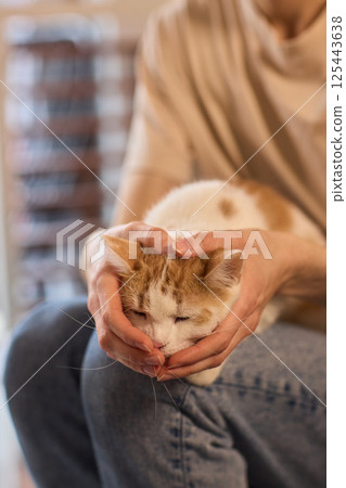 Enjoying some relaxing moments with cat massage therapy can bring great joy and comfort Enjoying some relaxing moments with cat massage therapy can bring great joy and comfort 125443638