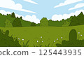 Landscape spring summer meadow in forest with flowers, grass field with blue sky, cloudy background 125443935