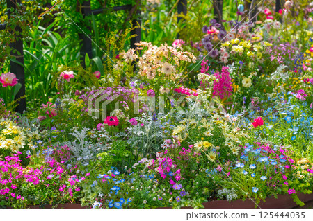 英式花園的美麗風景 125444035