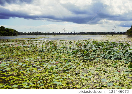 Neak Pean 的蓮花池,柬埔寨 2 Neak Pean 的蓮花池,柬埔寨 2 125446073