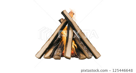 Campfire With Burning Logs. Outdoor Adventure And Wilderness Survival Concept Isolated On Transparent Background 125446648