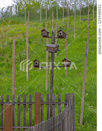 Birds Houses Garden 125446931