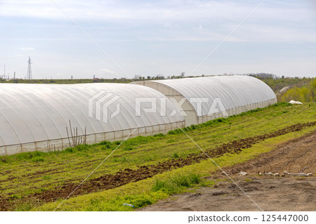 Polytunnel Greenhouse Farm 125447000