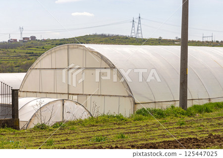 Polytunnel Greenhouse Farming Polytunnel Greenhouse Farming 125447025