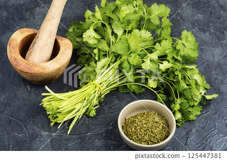 Cilantro herb leaf 125447381