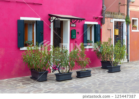 Colorful houses with plants in Burano Italy 125447387