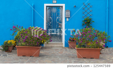 Blue house facade with flowers in Burano Blue house facade with flowers in Burano 125447389