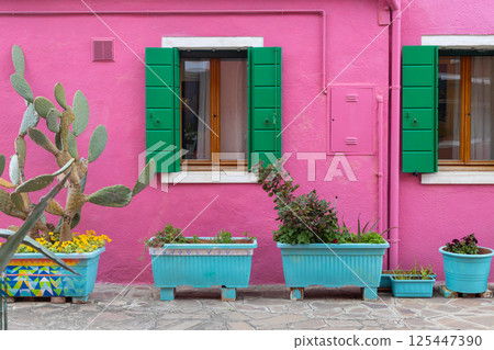 Pink facade with green shutters in Burano 125447390