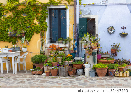 Colorful house wall with garden pots in Burano 125447393