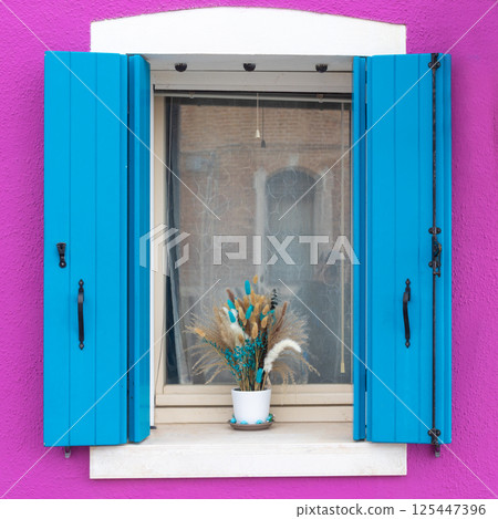 Blue shutters and dried flowers in Burano window Blue shutters and dried flowers in Burano window 125447396