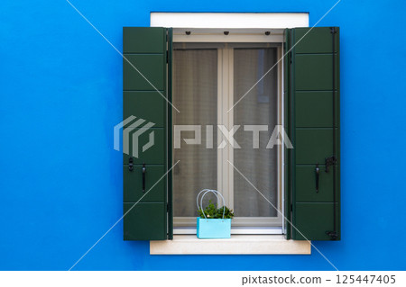Green shutters and blue planter on Burano wall Green shutters and blue planter on Burano wall 125447405