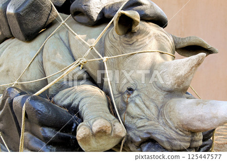 Sad rhino 125447577