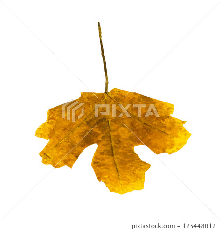 Dark leaf Dark leaf 125448012