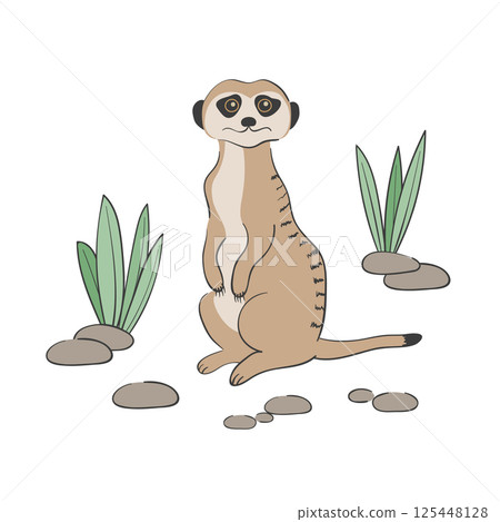 Cute cartoon Meerkat isolated on white background Cute cartoon Meerkat isolated on white background 125448128