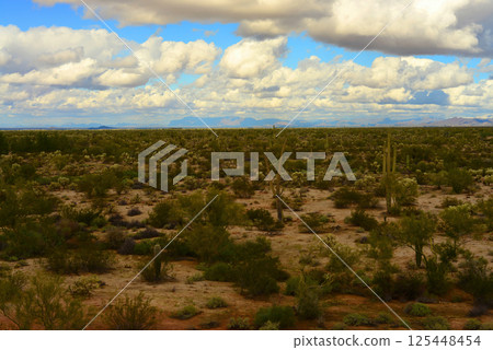 Clouds Over Central Sonora Desert Arizona 125448454