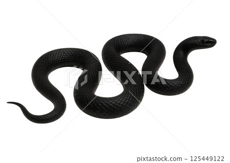 Black Snake Slithering Gracefully Across a Smooth Surface During the Day 125449122