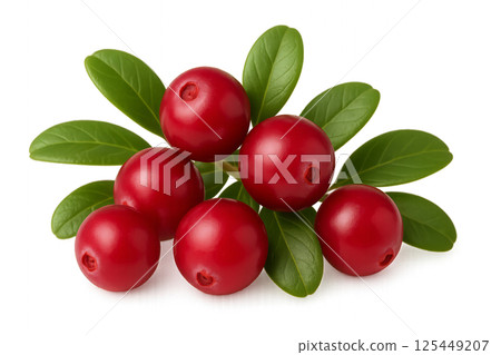 Fresh Red Cranberries With Green Leaves Arranged Together on a White Background Fresh Red Cranberries With Green Leaves Arranged Together on a White Background 125449207