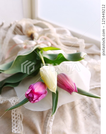 Tulip 125449212