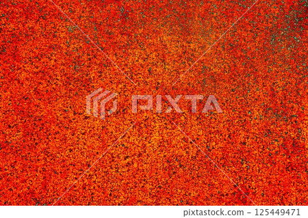 Plaster background of embossed plaster, changed colors. 125449471