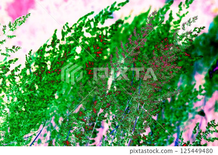 Dry grass outdoors in light pastel colors. Abstract natural background. Dry grass outdoors in light pastel colors. Abstract natural background. 125449480
