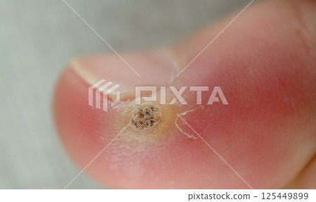 圖片照片 125449899