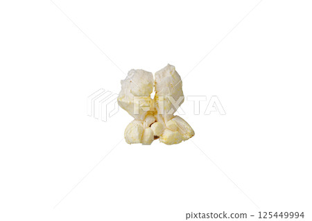 macro popcorn on isolated and white background 125449994