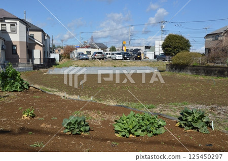 Tokyo's countryside Hachioji city Tokyo's countryside Hachioji city 125450297