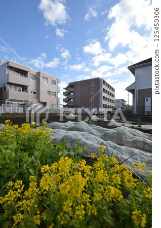 Tokyo's countryside Hachioji city 125450306