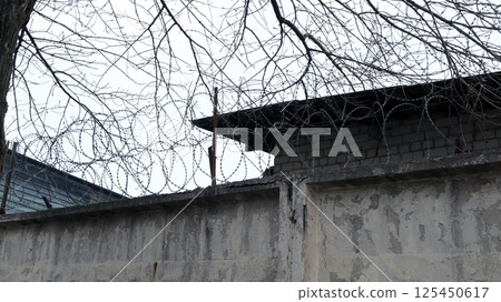 Old prison wall with barbed wire and bare branches against a gray sky in a desolate atmosphere 125450617
