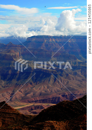 Grand Canyon Arizona 125450865