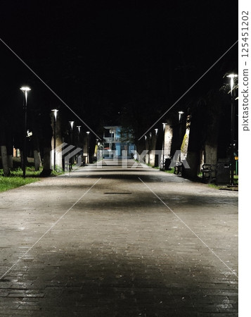 Empty alley illuminating benches in city park at night Empty alley illuminating benches in city park at night 125451202