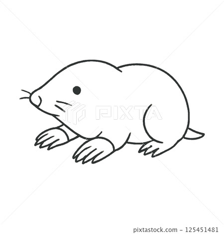 Mole line drawing illustration, icon, material, no background, animal series 125451481