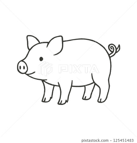 Pig line drawing illustration, icon, material, no background, animal series Pig line drawing illustration, icon, material, no background, animal series 125451483