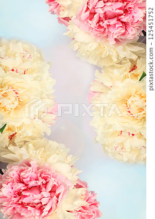 Spring floral flyer. Live beautiful peonies on a bright sunny background, abstract floral composition and template for design, greeting card for invitation or advertising. Spring floral flyer. Live beautiful peonies on a bright sunny background, abstract floral composition and template for design, greeting card for invitation or advertising. 125451752