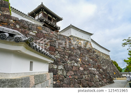 Fukuchiyama Castle stone wall, Fukuchiyama City, Kyoto Prefecture 125451965