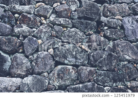 Close-up of stone wall 125451979
