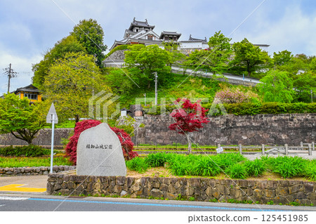 京都府福知山市福知山城公園的風景 125451985