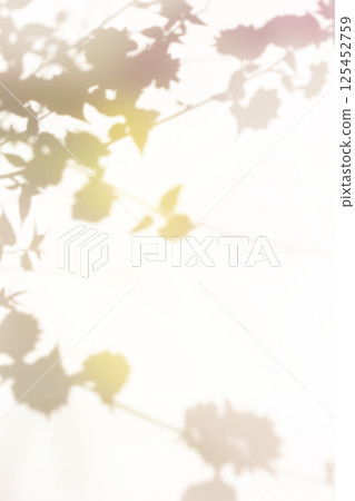 Colorful plant shadows in pastel tones Colorful plant shadows in pastel tones 125452759