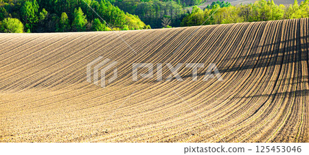 Early summer fields in Biei, Hokkaido, a town with a thriving agricultural industry Early summer fields in Biei, Hokkaido, a town with a thriving agricultural industry 125453046